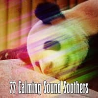 77 Calming Sound Soothers