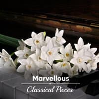 #12 Marvellous Classical Pieces