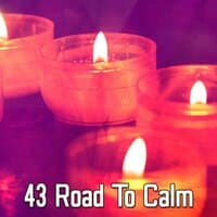 43 Road to Calm