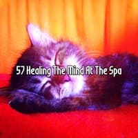 57 Healing The Mind At The Spa