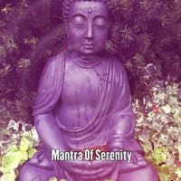 Mantra Of Serenity