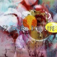 52 Natural Wild Life