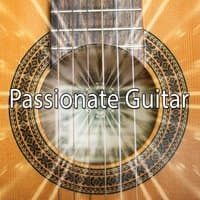 Passionate Guitar