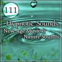 111 Hypnotic Sounds: New Age Music & Nature Sounds for Meditation Relaxation, Yoga, Deep Sleep, Reiki Healing and Massage Therapy