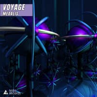 Voyage