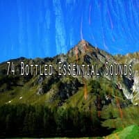 74 Bottled Essential Sounds