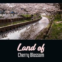 Land of Cherry Blossom – Kyoto Zen Garden, Nature Music, Japanese Harmony, Oriental Buddha Mindfulness