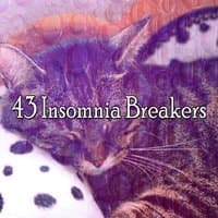 43 Insomnia Breakers