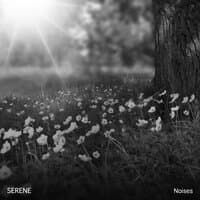 #14 Serene Noises to Invigorate Body and Soul