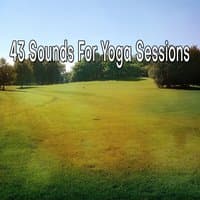 43 Sounds For Yoga Sessions