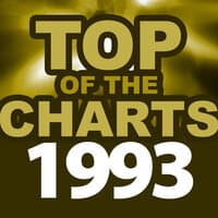 Top of the Charts 1993