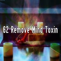 62 Remove Mind Toxin