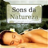 Sons da Natureza - Mente e Espírito, Musica Indiana para Spa, Massagem para o Equilíbrio do Corpo, Sono Reparador, Bem Estar e Serenidade, Sons da Natureza, Músicas New Age