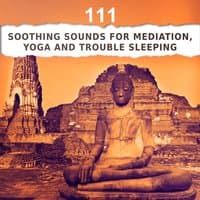 111 Soothing Sounds for Mediation, Yoga and Trouble Sleeping – Relaxing Nature Music, Sleep Disorder Therapy, Calming Music, Healing Zen