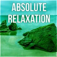 Absolute Relaxation - Ocean Waves, White Noise, Hypnotherapy, Music Therapy, The Best of Relaxing Nature Sounds