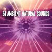 61 Ambient Natural Sounds