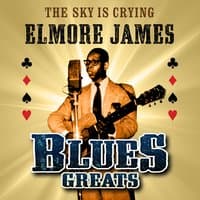 The Sky Is Crying - Blues Greats