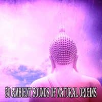 50 Ambient Sounds of Natural Origins