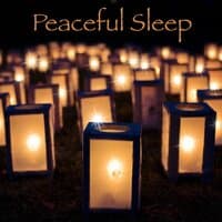 Peaceful Sleep - Best Natural Sleep Aid Music with Soothing Sleepy Sounds for the Night