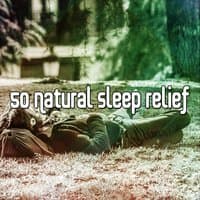 50 Natural Sleep Relief