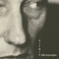 Little Burroughs