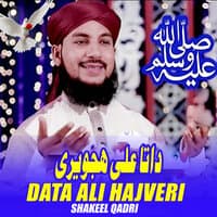 Data Ali Hajveri