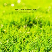 Piano collection for relaxing at night