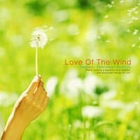 Love Of The Wind