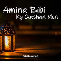 Amina Bibi Ky Gulshan Men