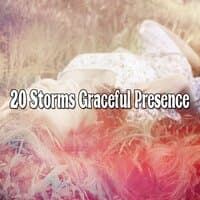 20 Storms Graceful Presence