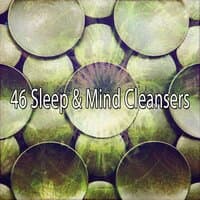 46 Sleep & Mind Cleansers