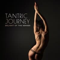 Tantric Journey - Delight of the Senses: 30 Tracks, Sensuous Atmosphere, Sacred Sexuality, Intimate Mood