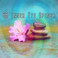 66 Inner Eye Opener