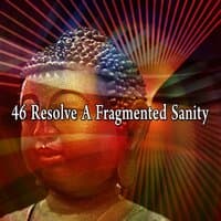 46 Resolve a Fragmented Sanity