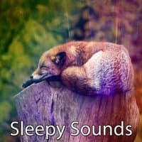 Sleepy Sounds