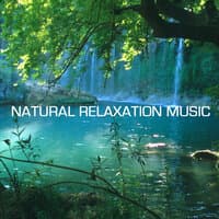 Natural Relaxation Music