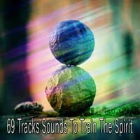 69 Tracks Sounds To Train The Spirit