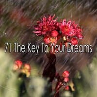 71 The Key to Your Dreams