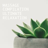 2018 A Massage Compilation - Ultimate Relaxation