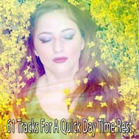 61 Tracks For A Quick Day Time Rest