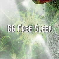 66 Free Sleep