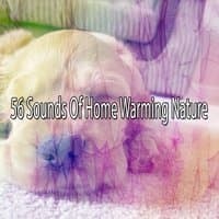 56 Sounds Of Home Warming Nature