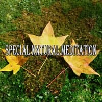 Special Natural Meditation