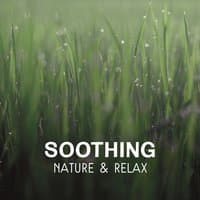 Soothing Nature & Relax – Energy Flow, Mental Inspiration, Healing Yoga Zen and Chakra Balancing