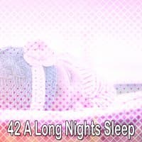 42 A Long Nights Sleep