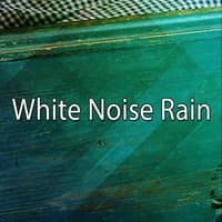 White Noise Rain