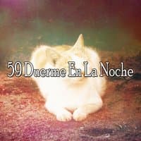 59 Duerme En La Noche