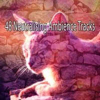 48 Neutralising Ambience Tracks