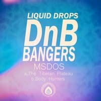 DnB Bangers, Vol. 2