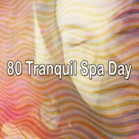 80 Tranquil Spa Day